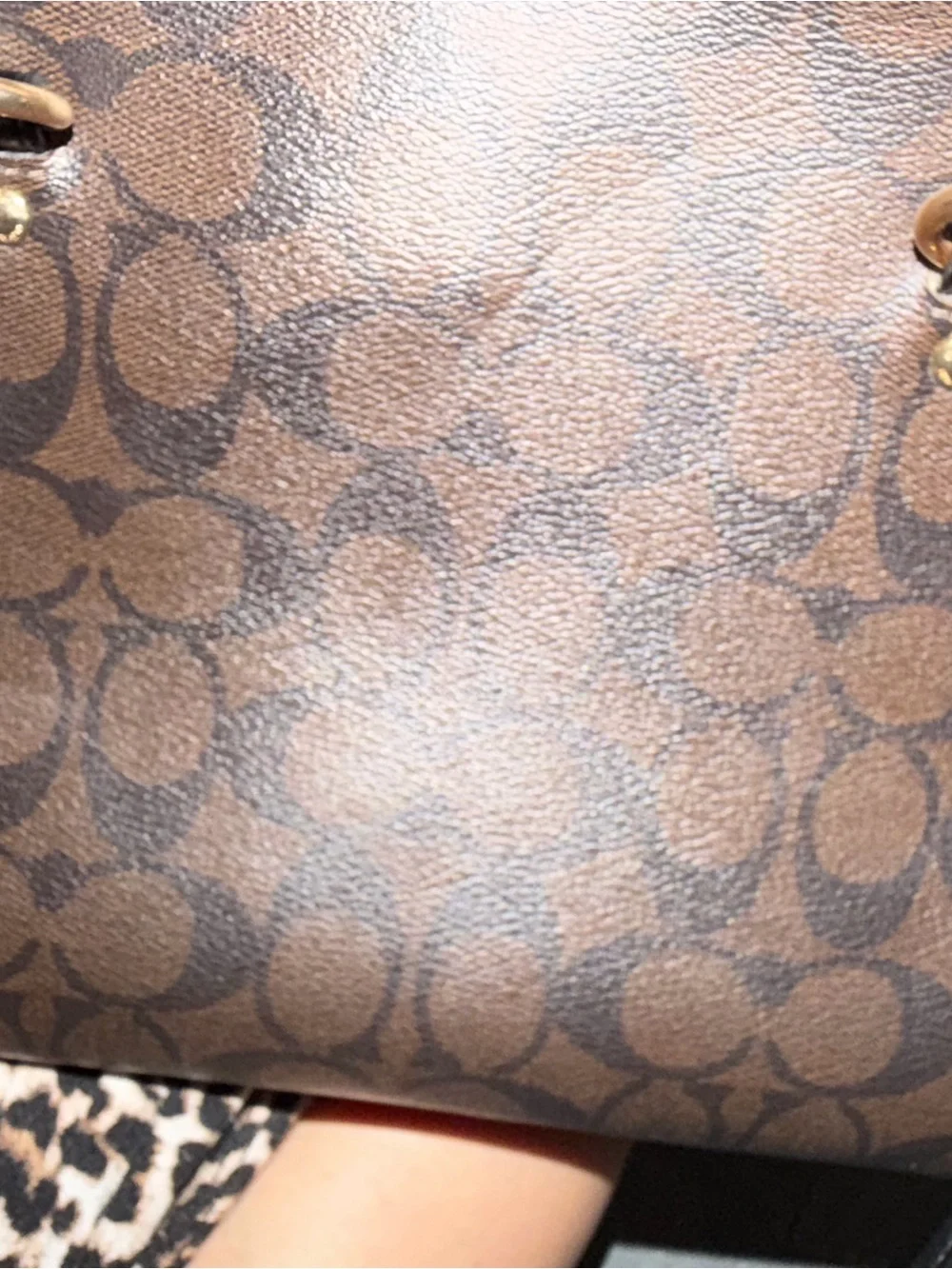 Coach signature dark